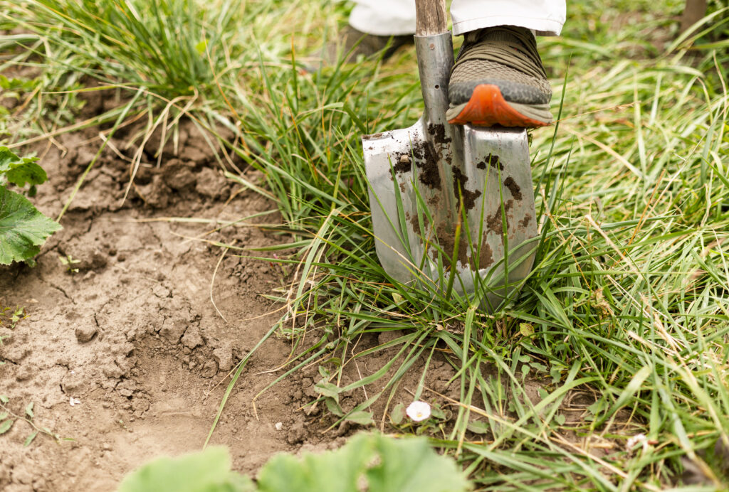 Close Up Person Digging in Garden