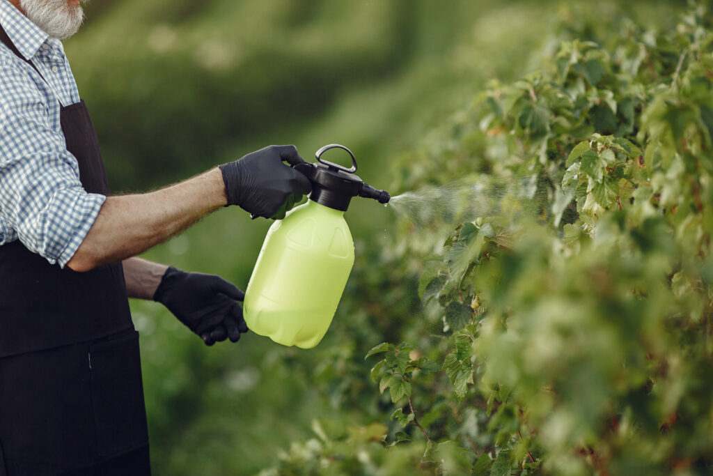 Farmer in Black Apron and Gloves Spraying Garden with Herbicides