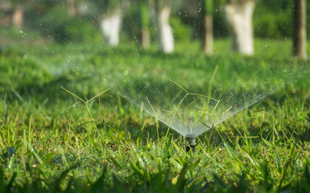 Sprinkler in Yard